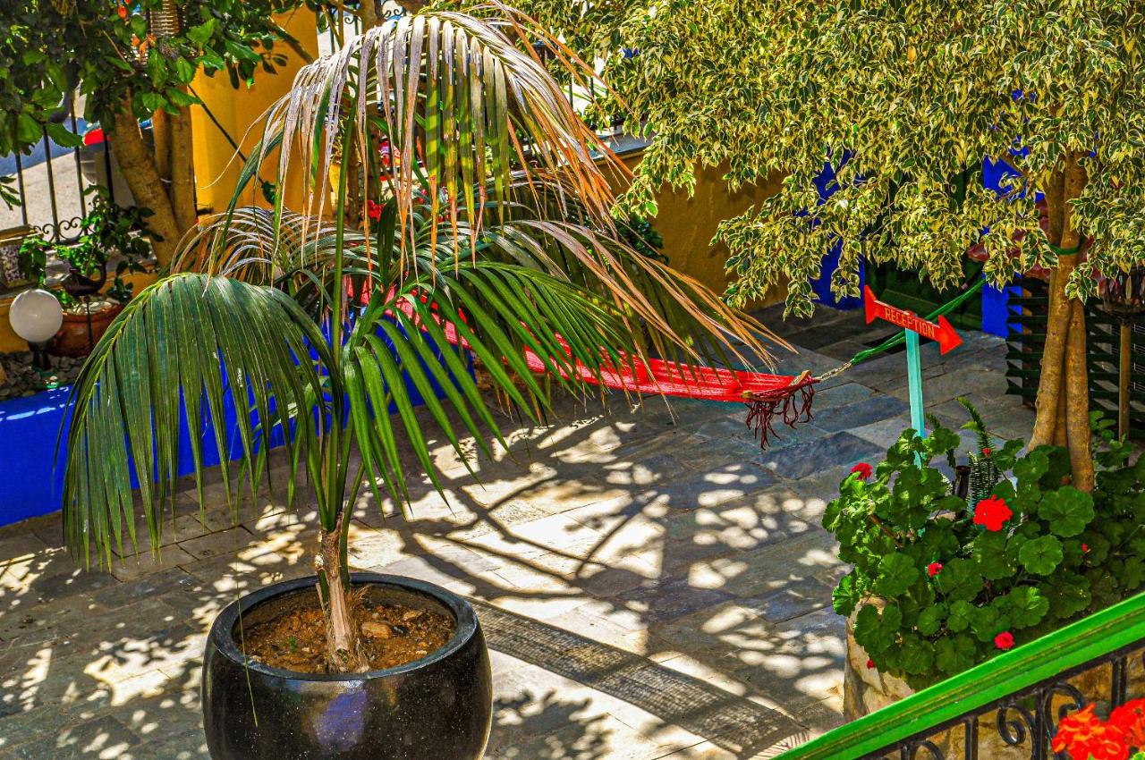 Symi Garden Studios Exteriör bild